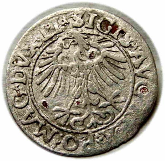 Półgrosz 1557 Zygmunt II August Wilno (2)