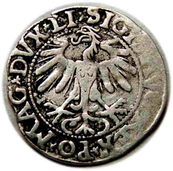 Półgrosz 1558 Zygmunt II August Wilno (2)