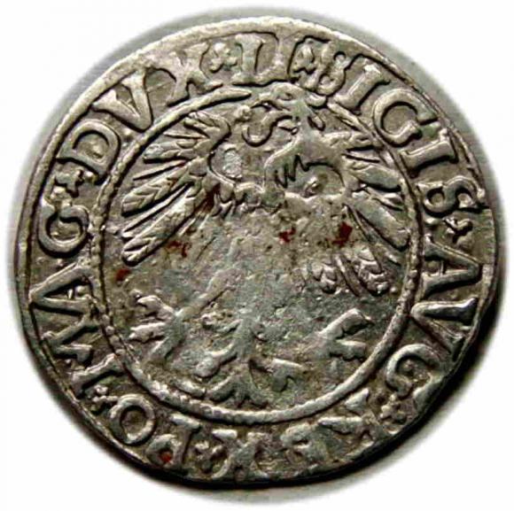 Półgrosz 1558 Zygmunt II August Wilno (2)