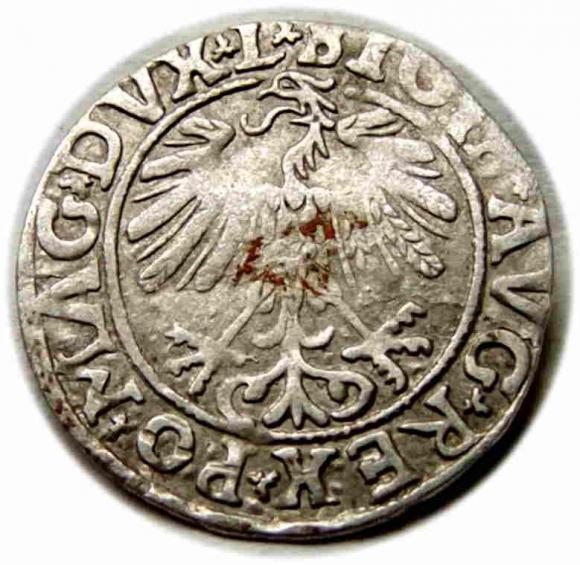 Półgrosz 1558 Zygmunt II August Wilno (2)