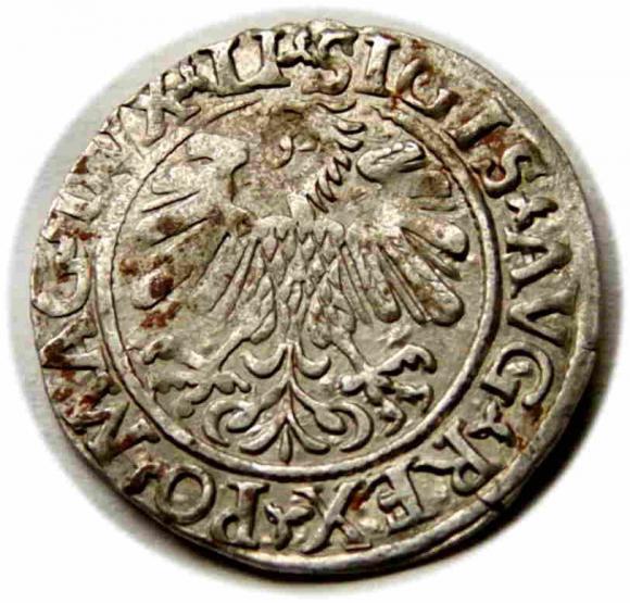 Półgrosz 1558 Zygmunt II August Wilno (2)