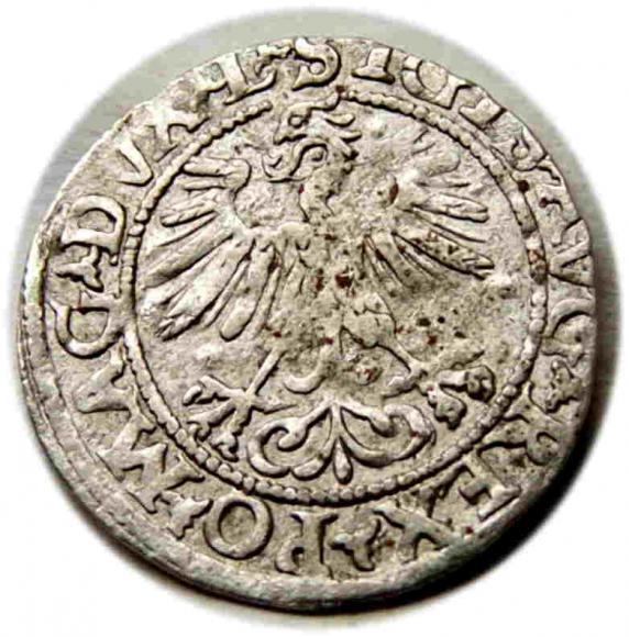 Półgrosz 1560 Zygmunt II August Wilno (2)