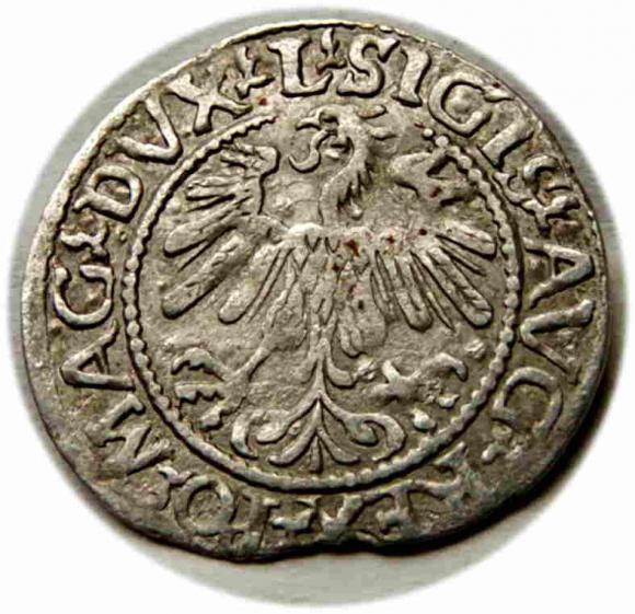 Półgrosz 1560 Zygmunt II August Wilno (2)