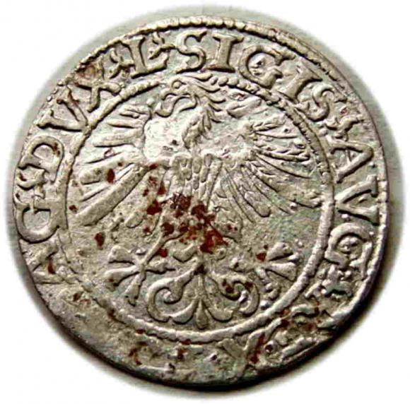 Półgrosz 1561 Zygmunt II August Wilno