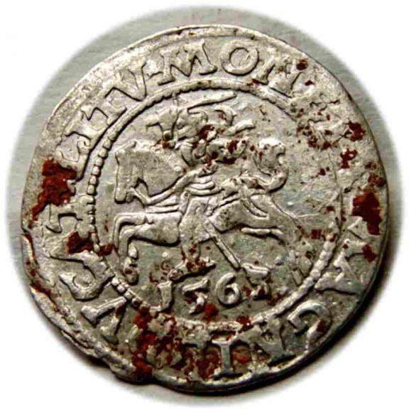 Półgrosz 1563 Zygmunt II August Wilno (1)
