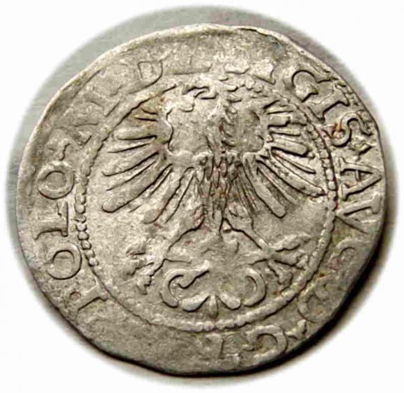Półgrosz 1564 Zygmunt II August Wilno (2)
