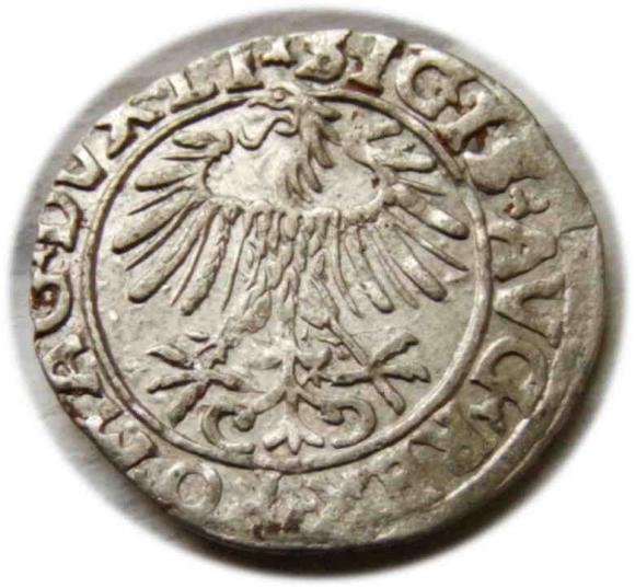 Półgrosz 1556 Zygmunt II August Wilno (2)