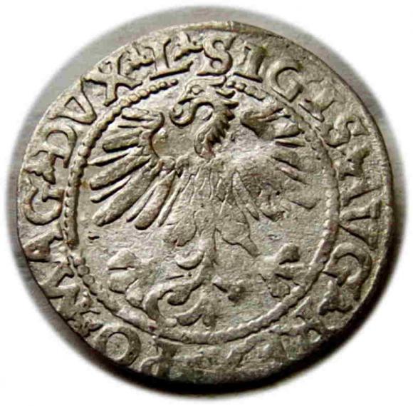 Półgrosz 1560 Zygmunt II August Wilno (2)