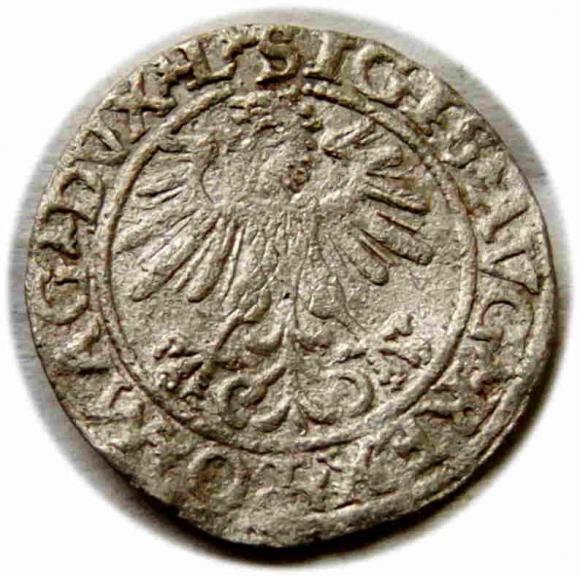 Półgrosz 1560 Zygmunt II August Wilno (2)