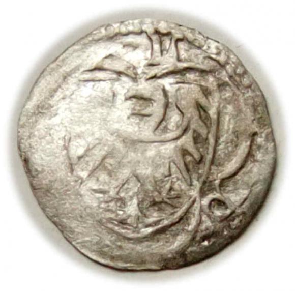 Halerz Ludwik II Brzeski Księstwo Brzesko - Legnicko - Wołowskie Brzeg (2)