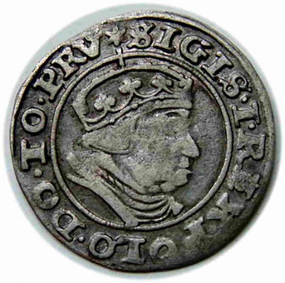 Grosz 1540 Zygmunt I Stary Gdańsk (1)