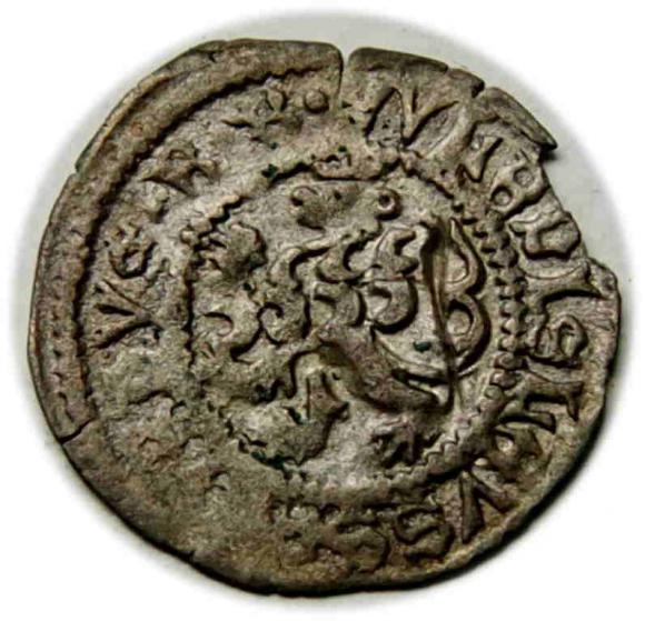 Halerz Władysław II Jagiellończyk (1)