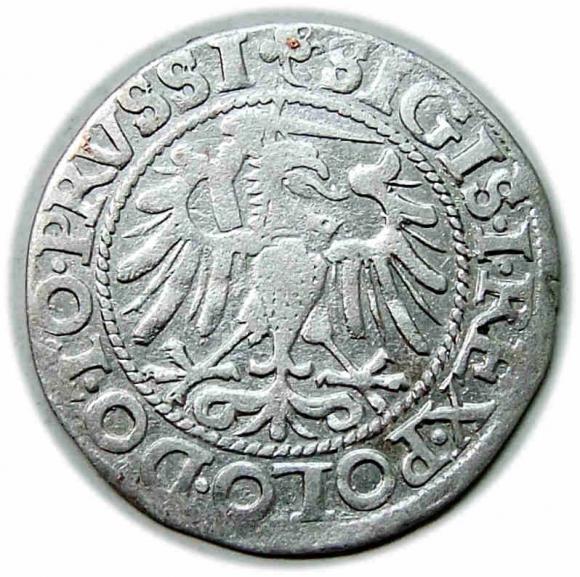 Grosz 1540 Zygmunt I Stary Elbląg