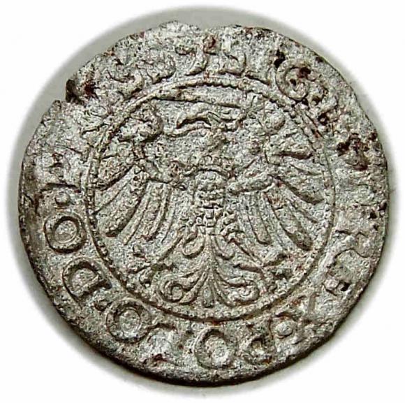 Szeląg 1539 Zygmunt I Stary Elbląg (2)