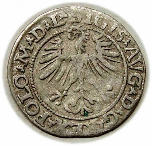 Półgrosz 1564 Zygmunt II August Wilno (2)