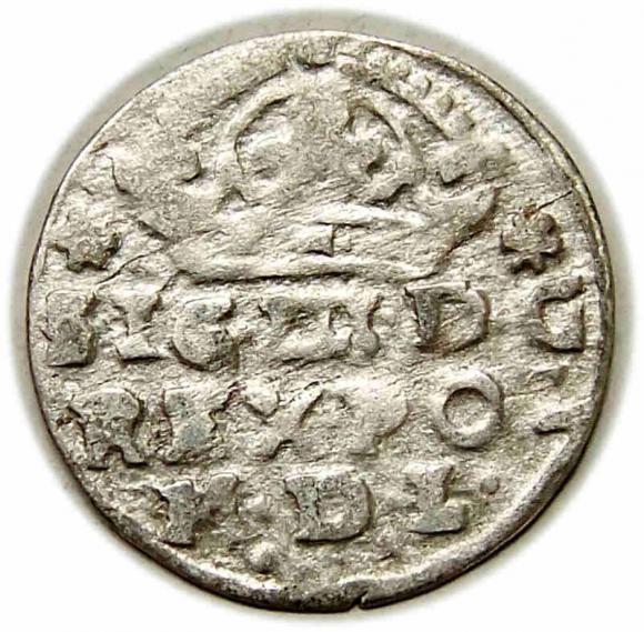 Grosz 1624 Zygmunt III Waza Bydgoszcz (1)