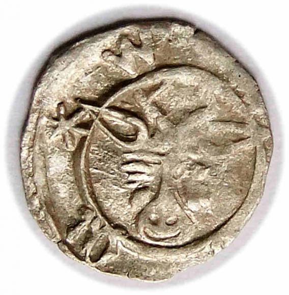 Halerz Wołów Księstwo Oleśnickie (1)