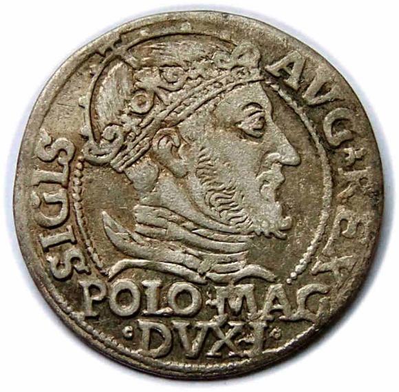 Grosz litewski na stopę polską 1547 Zygmunt II August Wilno (1)