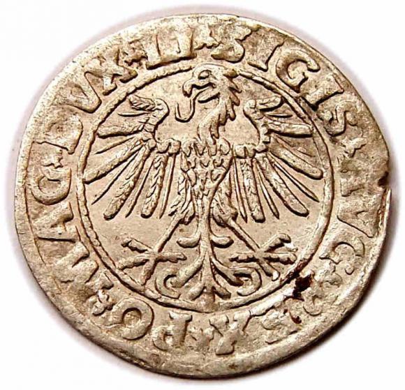 Półgrosz 1547 Zygmunt II August Wilno (2)