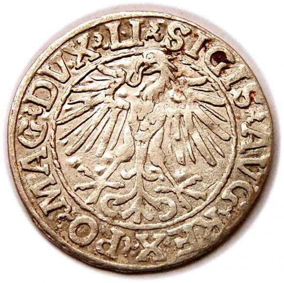 Półgrosz 1548 Zygmunt II August Wilno (2)