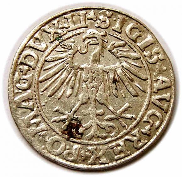 Półgrosz 1550 Zygmunt II August Wilno (2)