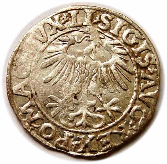 Półgrosz 1557 Zygmunt II August Wilno (2)