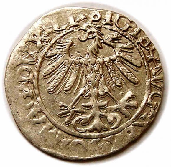 Półgrosz 1558 Zygmunt II August Wilno