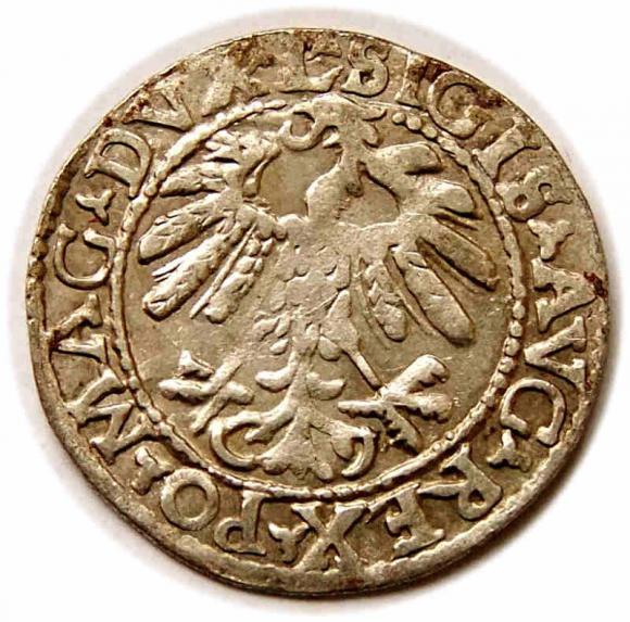 Półgrosz 1559 Zygmunt II August Wilno (2)