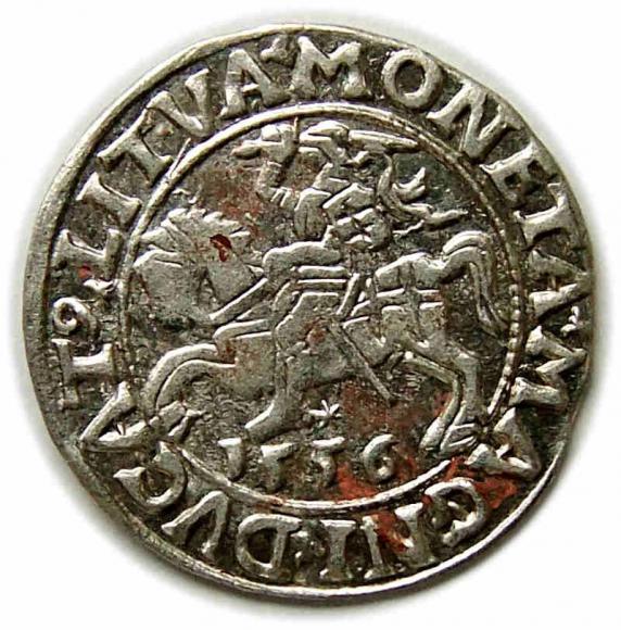 Półgrosz 1556 Zygmunt II August Wilno (1)