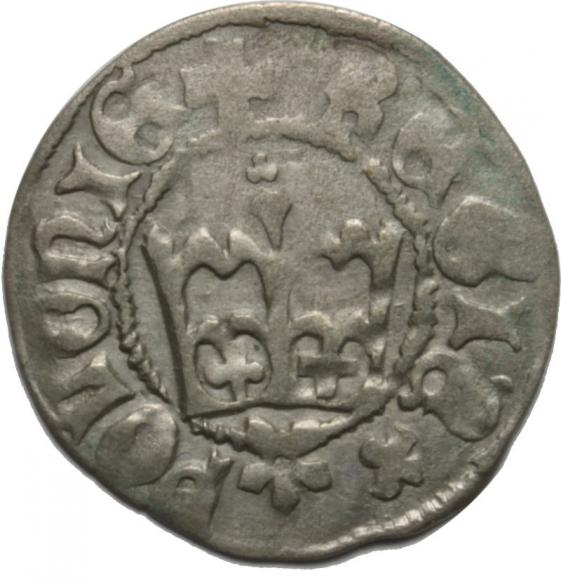 Półgrosz Kazimierz Jagiellończyk Kraków (1)