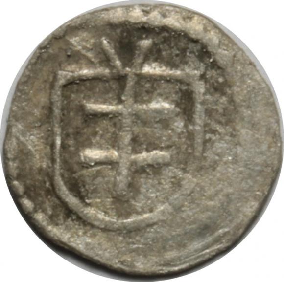 Denar Władysław Jagiełło Wschowa (1)