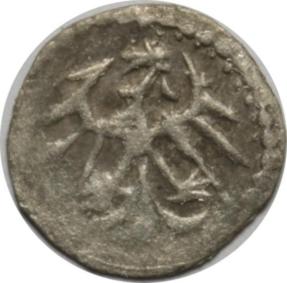 Denar Władysław Jagiełło Wschowa (2)