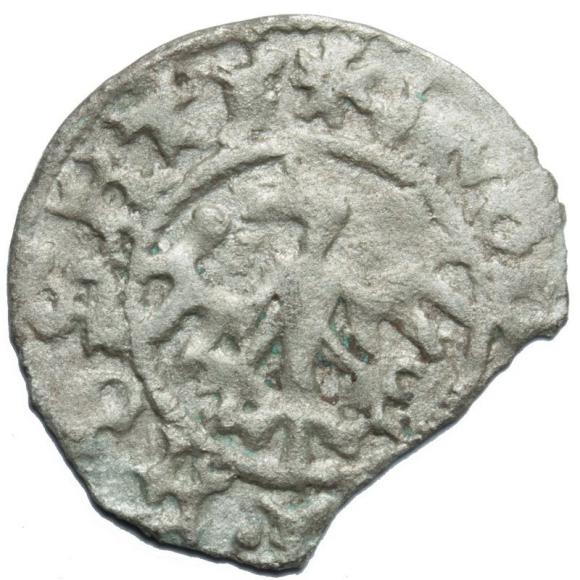 Półgrosz Jan Olbracht Kraków (2)