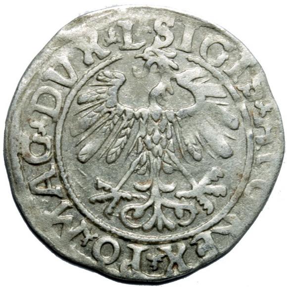 Półgrosz 1558 Zygmunt II August Wilno (2)