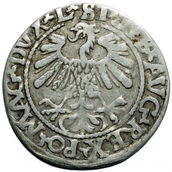 Półgrosz 1559 Zygmunt II August Wilno
