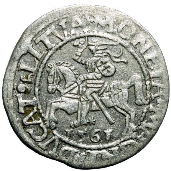 Półgrosz 1561 Zygmunt II August Wilno (1)