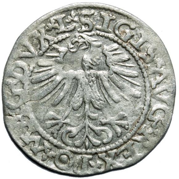 Półgrosz 1562 Zygmunt II August Wilno (2)