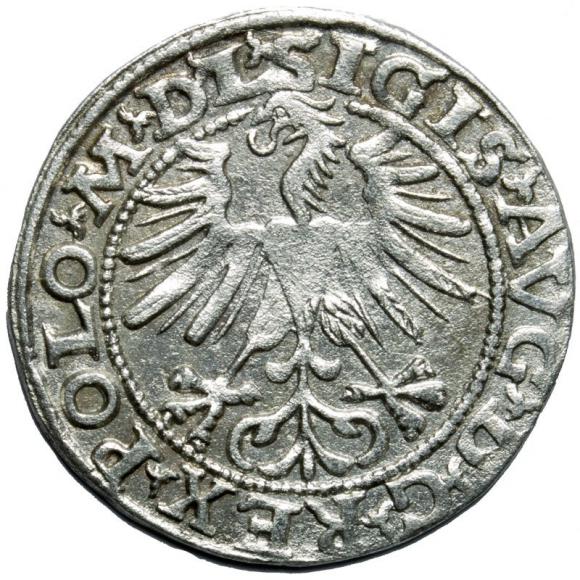 Półgrosz 1563 Zygmunt II August Wilno