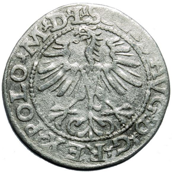 Półgrosz 1564 Zygmunt II August Wilno (2)