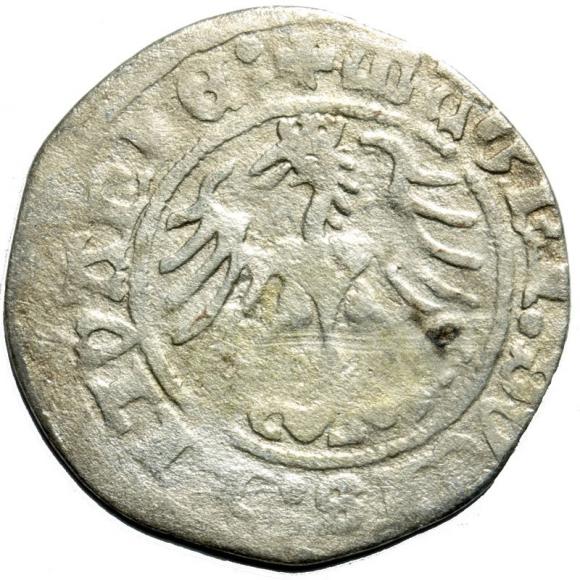 Półgrosz 1513 Zygmunt I Stary Wilno (2)