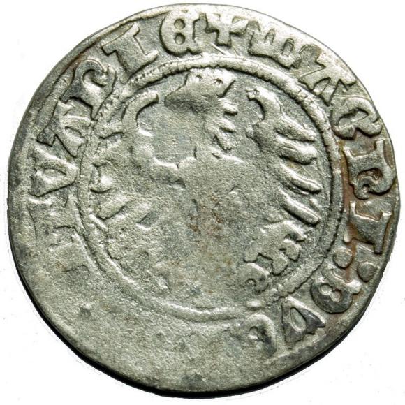 Półgrosz 1514 Zygmunt I Stary Wilno (2)