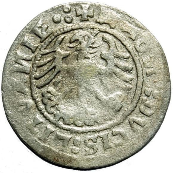 Półgrosz 1519 Zygmunt I Stary Wilno (2)