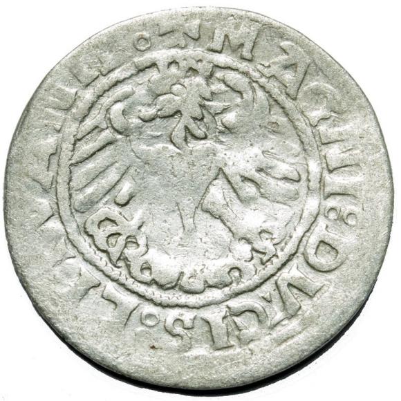 Półgrosz 1519 Zygmunt I Stary Wilno (2)