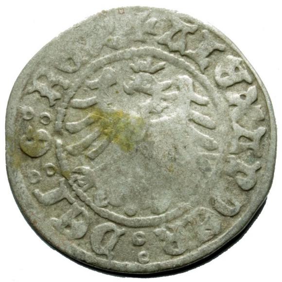 Półgrosz Aleksander Jagiellończyk Kraków (2)