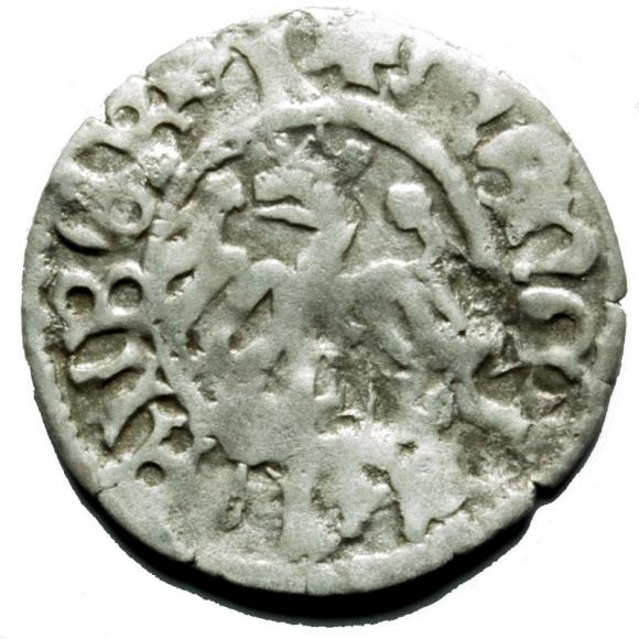 Półgrosz Jan Olbracht Kraków (2)