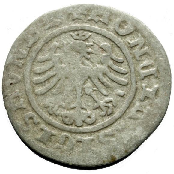 Półgrosz Zygmunt I Stary Kraków (2)