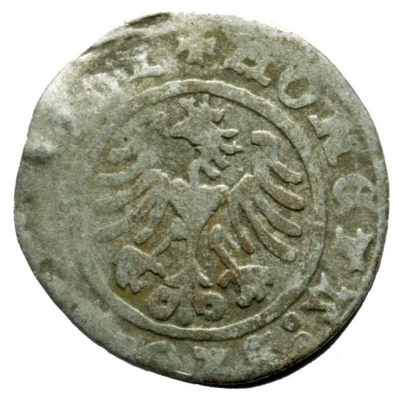 Półgrosz Zygmunt I Stary Kraków (2)