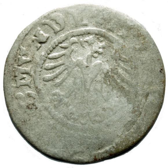 Półgrosz Zygmunt I Stary Kraków (2)