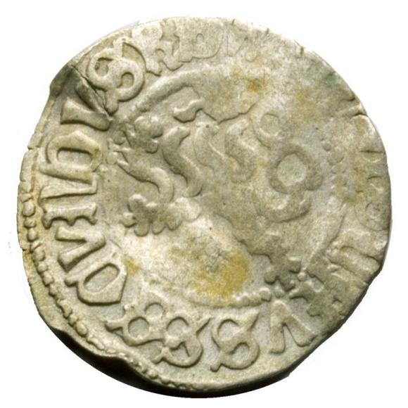 Halerz Władysław II Jagiellończyk Czechy (1)