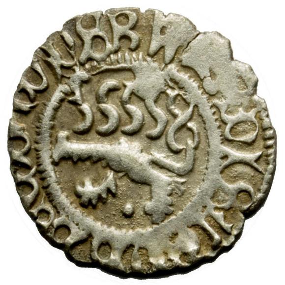 Halerz Władysław II Jagiellończyk Czechy (1)